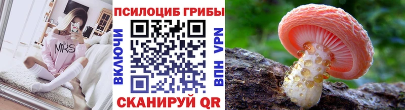 Галлюциногенные грибы Cubensis  Купить  Верхняя Тура 